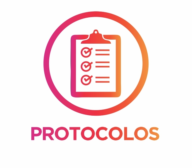 04 07 2024 protocolos